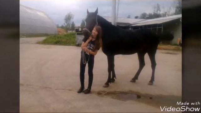 Я знаю тебя на 110℅ смотреть онлайн