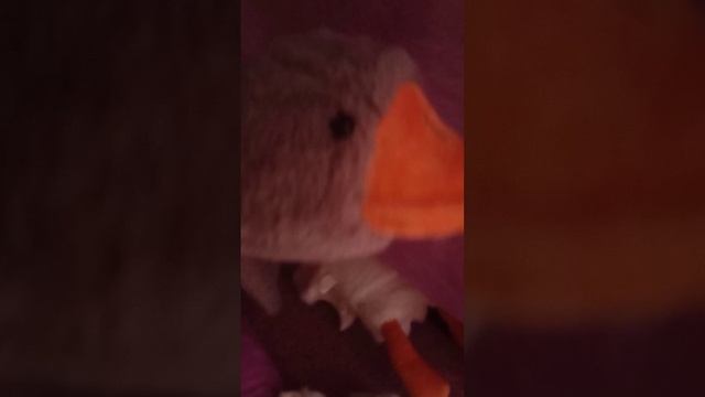 Зацените гуся нашёл