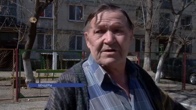 В Бендерах проходит масштабная чистка деревьев смотреть онлайн