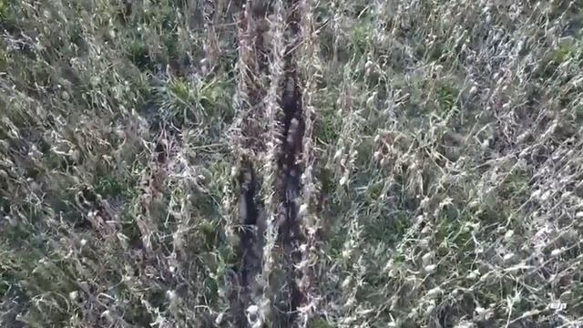 Big Java Brasil...dê só uma espiadinha... смотреть онлайн