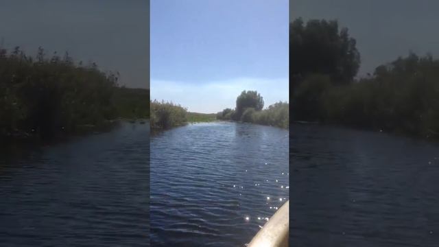 Садки- Лотосы -2-Новопокровский 13.09.16 Экскурсия на Лотосы время 12:05 смотреть онлайн