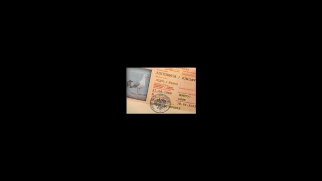 Важно! Скоро в России запретят странные имена смотреть онлайн