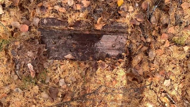 ЗА ЭТОТ ЧЕРМЕТ МОГУТ ПОСАДИТЬ! ЗАРАБОТОК НА ЗАПРЕЩЁНКЕ! МЕТАЛОКОП НА СТАРОЙ ДЕРЕВНЕ! смотреть онлайн