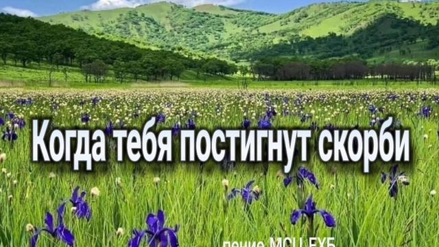 Утешение и ободрение, КОГДА ТЕБЯ ПОСТИГНУТ СКОРБИ '' (Поёт Денис фёдоров) МСЦ ЕХБ смотреть онлайн