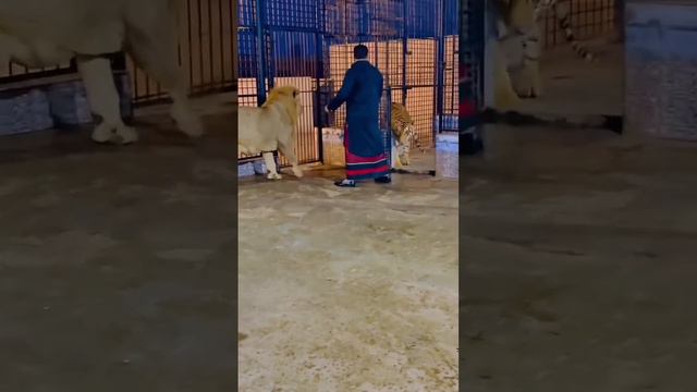 new #short #viral #viralvideo смотреть онлайн