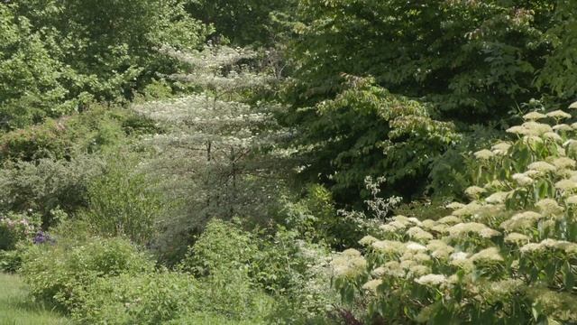 Ile De France : Les Jardins De Berville