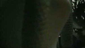 Urban Cookie Collective  - The Key, The Secret. HD 16:9