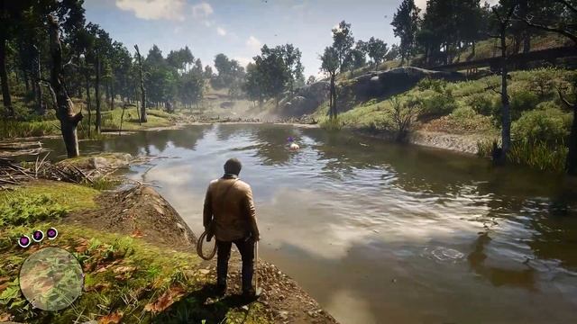 ARTHUR CATCH A BEAUTIFUL RAINBOW HORSE - Red Dead Redemption 2 Gameplay смотреть онлайн