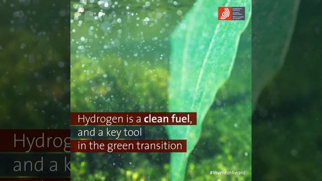 Johan Martens, Tom Bosserez and Jan Rongé: Green hydrogen from sunlight and air смотреть онлайн