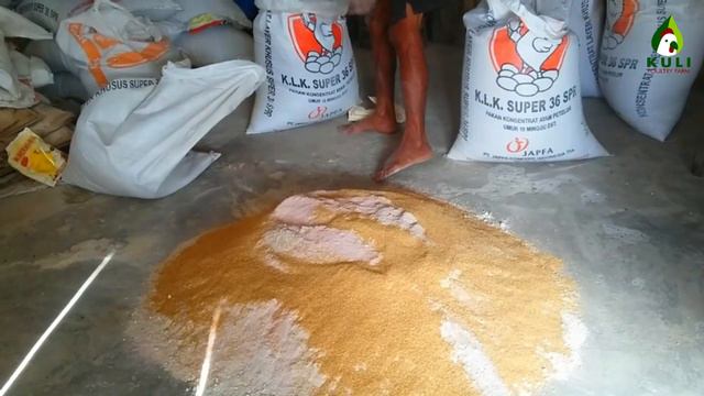 Cara Membuat Pakan Ayam Petelur Sendiri смотреть онлайн