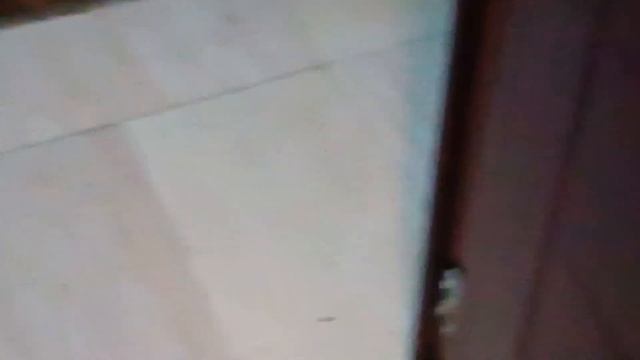 2 котёнка смотреть онлайн