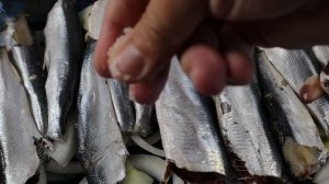 САЛАКА В ДУХОВКЕ  ВКУСНЫЙ И ПОЛЕЗНЫЙ РЕЦЕПТ