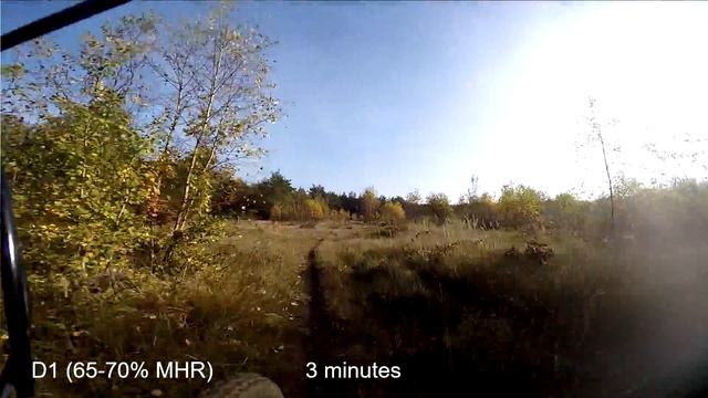 5-10 MLSS training (Maximum lactate steady state) cycling training смотреть онлайн