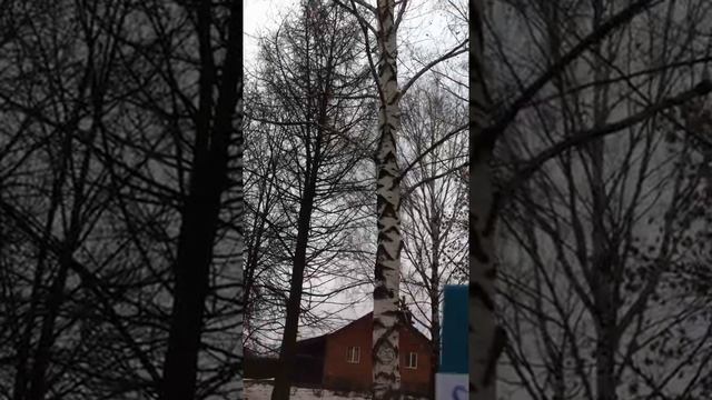 Александр Блок. , О, весна без конца и без краю !' смотреть онлайн