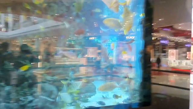 Семейный влог Едем в Киев к Дочке. Гуляем в Торговом центре Ocean Plaza. Примерка Осенней Одежды. смотреть онлайн