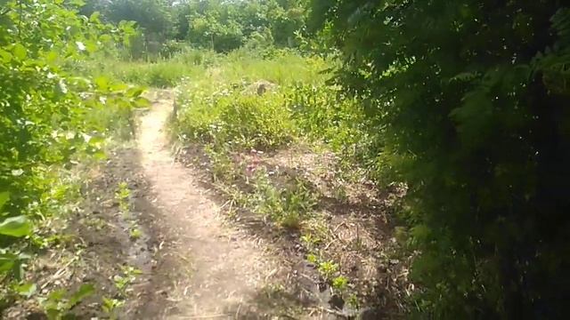 Заброшенный участок, Часть 2-я смотреть онлайн