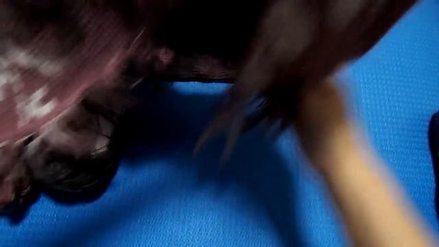 Шарфы "Японская сакура". Колумбийское вязание. смотреть онлайн