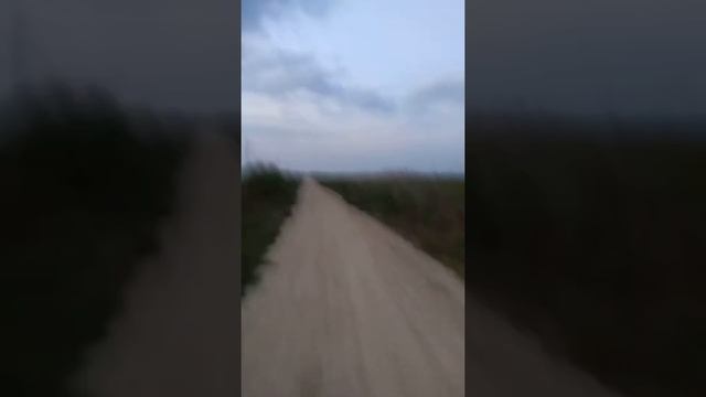 012 ПРИНЦИПЫ БЕГОВОЙ ТРЕНИРОВКИ ППДИВ. ВАСИЛИЙ ПАРНЯКОВ смотреть онлайн