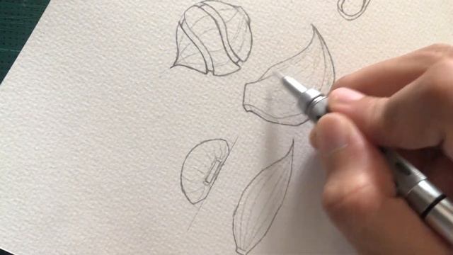 Pencil Drawing - Garlic смотреть онлайн
