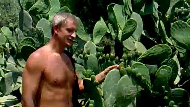 Турецкие кактусы смотреть онлайн