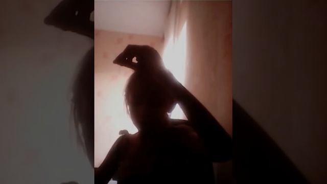 Гадание на имя суженого смотреть онлайн