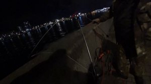 РЫБАЛКА НА НЕВЕ. КОРЮШКА (Май 2023)