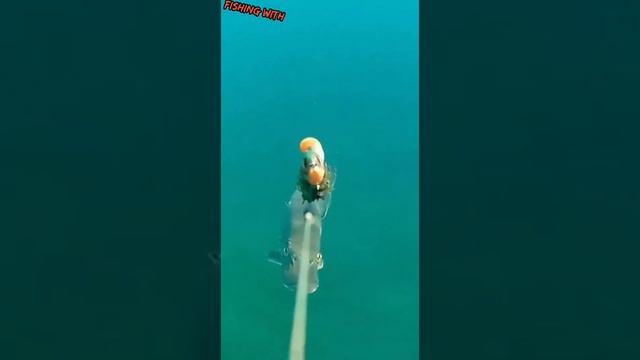 эффектно#fishing #хищник #щука #скилл #тренды смотреть онлайн