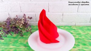 Салфетки для сервировки стола на праздничный стол - КАК КРАСИВО СЛОЖИТЬ Салфетки №2!