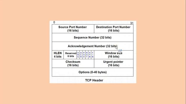 Socket Address Example - HTTP смотреть онлайн