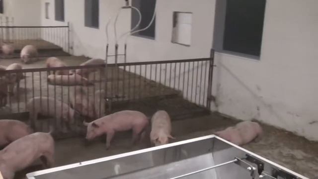 Опасность близка смотреть онлайн