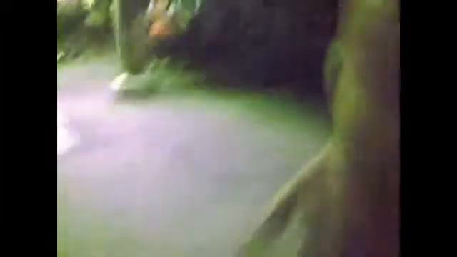 Aziz tańczy z grupą taneczną [25.06.2012] [PRIVATE VIDEO] смотреть онлайн