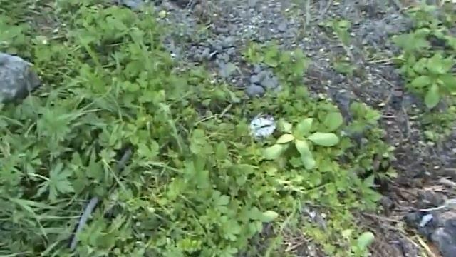 Фундамент на крутом склоне. Хроники строительства-1. Foundation on a steep slope. смотреть онлайн