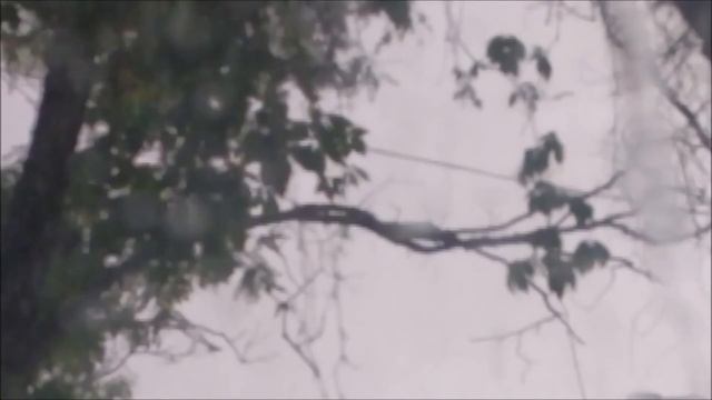 Поездка на дачу или как меняется погода смотреть онлайн