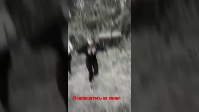 Танцы мы устроим танцы #рекомендации #танцы смотреть онлайн