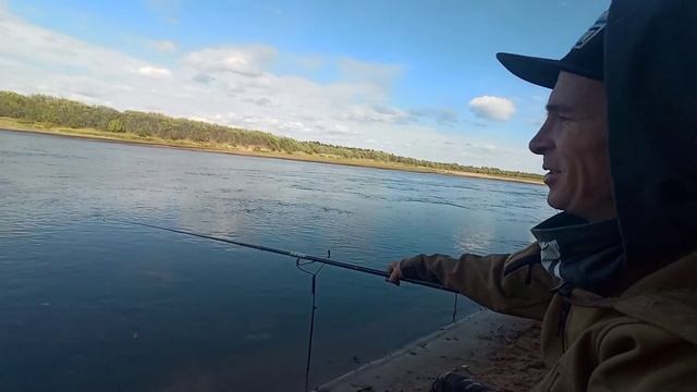 Петрушим рыбу в тугую! Не клёв, а песня! Рыба одна за одной на маховую удочку. смотреть онлайн
