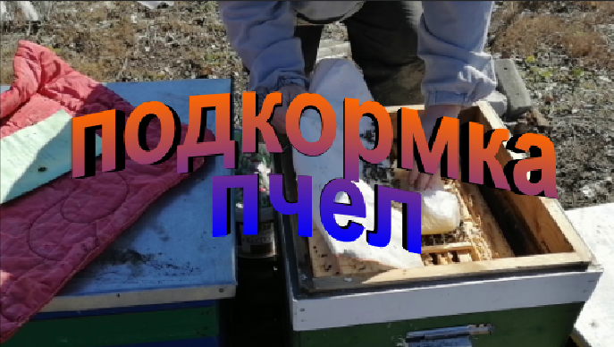 Подкормка пчел ранней весной смотреть онлайн