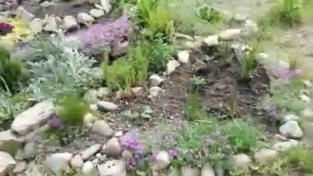 Природа... смотреть онлайн