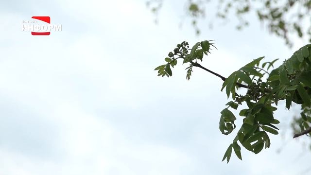 Кровные враги смотреть онлайн