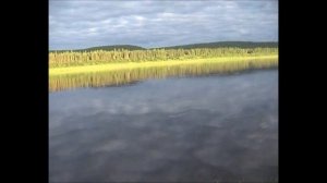 Рыбалка на Подкаменной Тунгуске, тайменнь