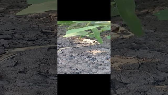 20220621 смотреть онлайн