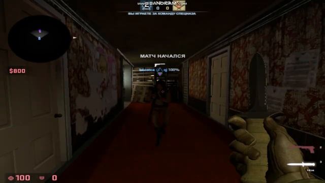 кс го нычки карты из мастерской murder in the hotel (hide and seek) смотреть онлайн