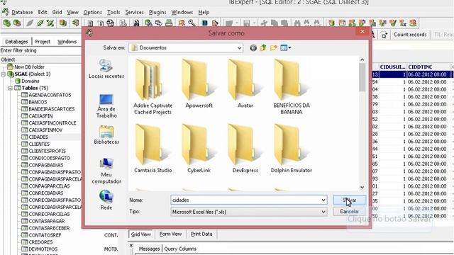 Exportar dados db Firebird e Interbase para EXCEL xls com IbExpert Exportação db Delphi смотреть онлайн