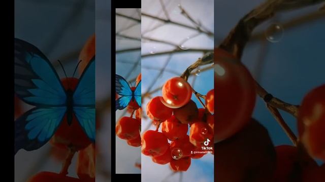 Рябина зимой смотреть онлайн