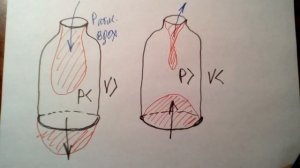 Модель Дондерса.Экзамен по Биологии