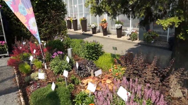 Dümmen Orange Flower Festival 2015 смотреть онлайн