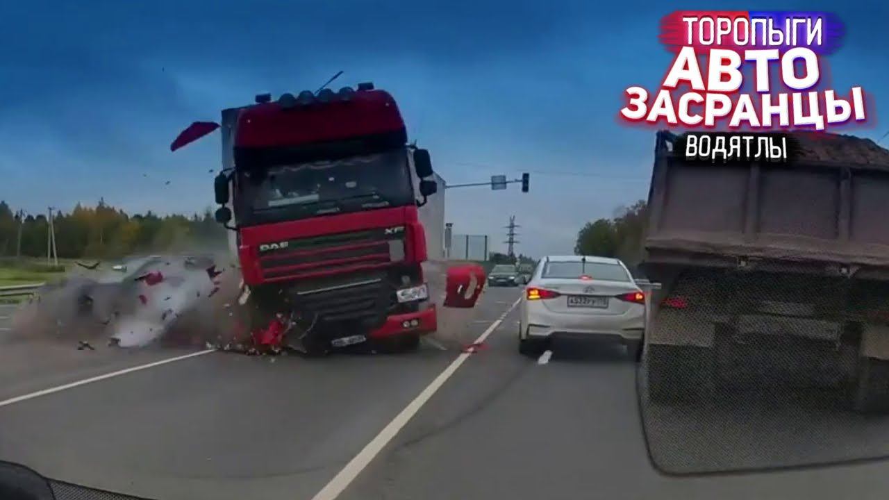 Зачем они так? Торопыги и Водятлы смотреть онлайн