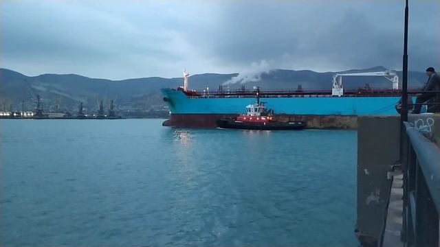 Вечер Новороссийска, прибытие сухогруза 23.11.2021 (Maersk Line) смотреть онлайн
