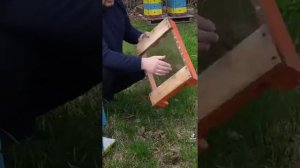 обзор рогатого улья с сетчатым дном