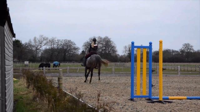 I FELL OFF 😳🤣 JOSEPH TRUNKFIELD JUMPING CLINIC!!! смотреть онлайн