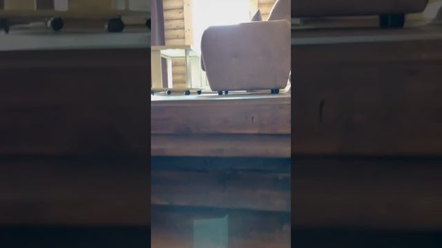 Горный Алтай, база отдыха Рублевские Терема. Номер Люкс смотреть онлайн